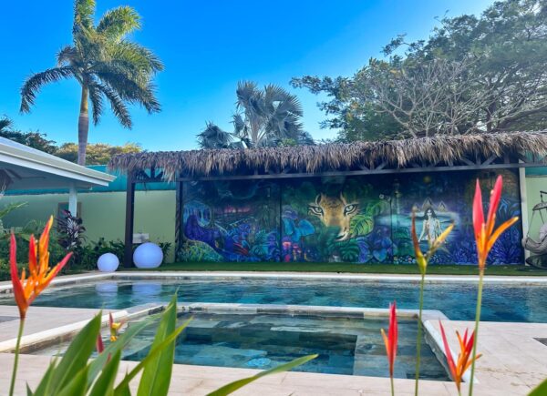 Image of pool and mural at evolution healing center